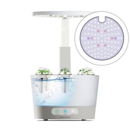 Indoor Garden Hydroponic System with LED Grow Light