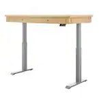 KOBLE Danee 60'' Sit-Stand Electric Desk - Oak