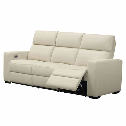 National brand - Leather Power Reclining Sofa