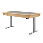 KOBLE Danee 60'' Sit-Stand Electric Desk - Oak